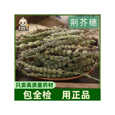 Китайская Мелисса Цзин Цзе Суй (Jing Jie) — 荆芥 — Schizonepeta Tenuifolia (20 семян)