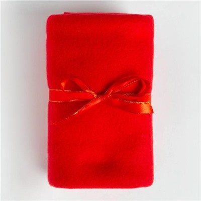 Набор подарочный новогодний «Этель»: плед, носки, 2 игрушки, открытка