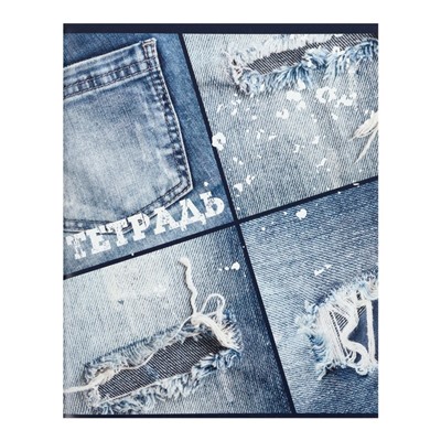 Комплект тетрадей из 4 штук, 96 листов в клетку Calligrata «Джинс», обложка мелованный картон, блок офсет