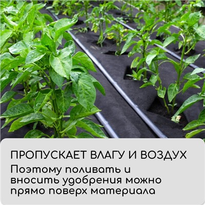 Материал мульчирующий, 5×0.8 м, плотность 80 г/м², с УФ-стабилизатором, чёрный, Greengo, Эконом 30%