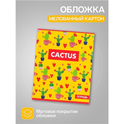 Наабор тетрадей, 48 листов в клетку, Calligrata «Кактус», 5 штук