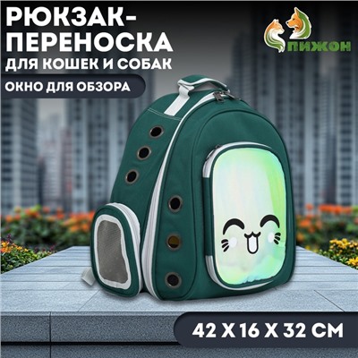 Рюкзак для переноски кошек и собак, с окном для обзора, зелёный
