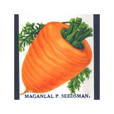 Гэрандская Древняя Крупная Полудлинная РАННЯЯ Морковь — Early Guerande Carrot (70 семян)
