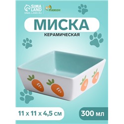 Миска керамическая квадратная "Морковки" 300 мл, 11 x 4,5 cм, зелёная