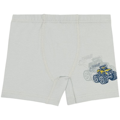 3502 Боксеры для мальчиков многоцвет (BAYKAR)