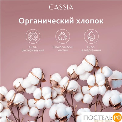 CASSIA  Одеяло ЖЕМЧУЖИНА ТИБЕТА лайт 172х205,1пр.,хл./шерсть/микровол., 200г/м2