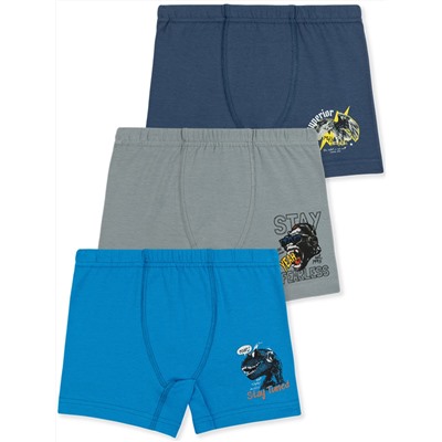 3568 Боксеры для мальчиков многоцвет (BAYKAR)