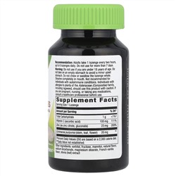 Nature's Way, леденцы с цинком, со вкусом лесной ягоды, 60 веганских леденцов