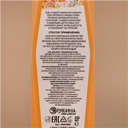 Подарочный набор «Сочное настроение»: гель для душа и пена для ванны, 2×250 мл, URAL LAB
