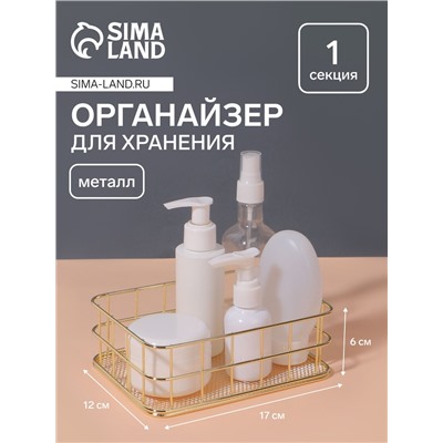 Органайзер для хранения косметических принадлежностей «РАФАЭЛЬ», 17 × 12 × 6 см, цвет золотистый