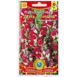 Львиный зев День и ночь (Код: 75985)