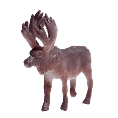 Набор фигурок животных «Удивительный мир», 12 предметов