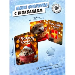 Мини открытка, НОВОГОДНИЙ ЁЖИК, молочный шоколад, 5 гр., TM Chokocat