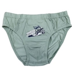 3377 Трусы для мальчика многоцвет (BAYKAR)