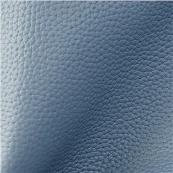 DOLAND LION  Сумка женская / кожа /  9955