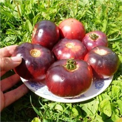 Помидоры — Amethyst Jewel — Аметист (10 семян)