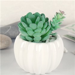 Суккулент искусственный 2,5х9 см / GN113 /уп 100/