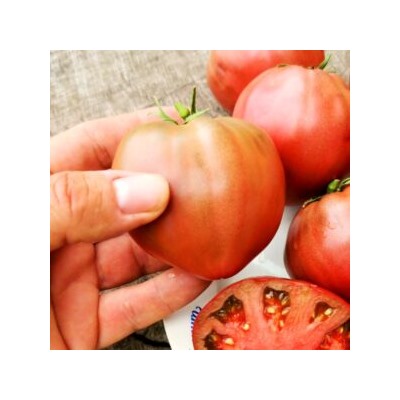 Помидоры Пурпурное Сердце Лилипута — Dwarf Purple Heart Tomato (10 семян)