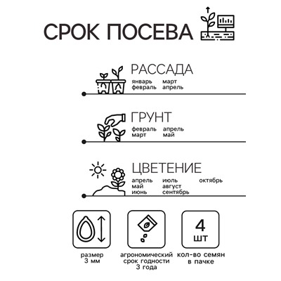 Семена комнатных цветов Пеларгония "Cмесь", 4 шт.