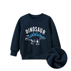 TSKIDS Толстовка утепленная   2976