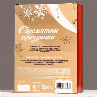 Новогодний подарочный набор косметики «Сияй», гель для душа 250 мл и мочалка для тела, Чистое счастье