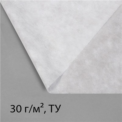 Материал укрывной, 10×3.2 м, плотность 30 г/м², спанбонд с УФ-стабилизатором, белый, Greengo, Эконом 30%
