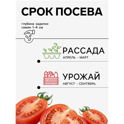 Семена Томат «Снежана», 0.08 г, «Агросс»