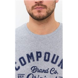 Футболка мужская с принтом F111-06b-586 серая