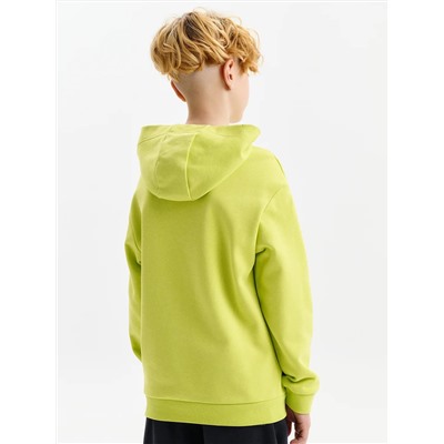 PELICAN Толстовка BFNK3388