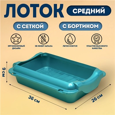Туалет средний с бортом и сеткой 36×26×9 см, лоток+сетка+борт бирюзовые