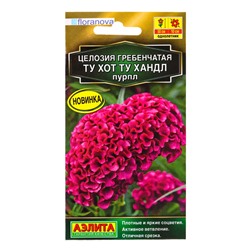 Семена цветов Целозия гребенчатая Ту хот ту хандл пурпл  С. Floranova Золотая серия, Ц/П,5 шт. 10945