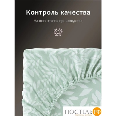 CASSIA ЭМИНЕ Простыня на резинке 160х200+30, 1 пр., хл./сатин зеленый