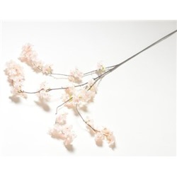 Ветка сакуры свисающая