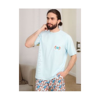 Футболка мужская №2124M-20197 Kusto Almando Melado Дроп