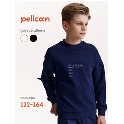 PELICAN Толстовка