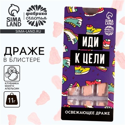Конфеты драже «Иди к цели» в блистер, 11 г.