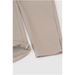 VERY NEAT Брюки ЕВТ 4045/24