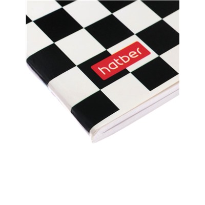 Альбом для рисования Hatber «Смешарики», А4, 48 листов, на скобе