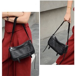 DOLAND LION  Сумка женская / кожа / 1638