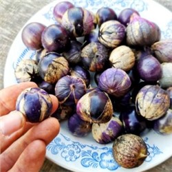 Виноградный Физалис Изабелла Чёрная (10 семян)