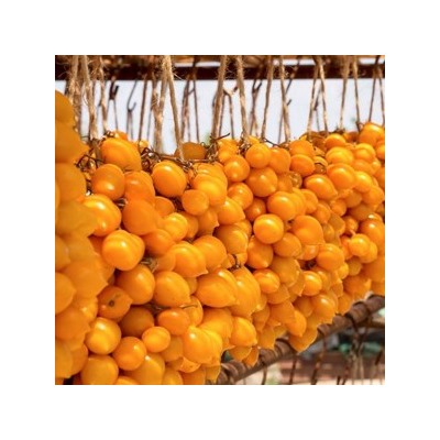Помидоры Giagiù (Yellow Piennolo del Vesuvio) — Джаджу (10 семян)