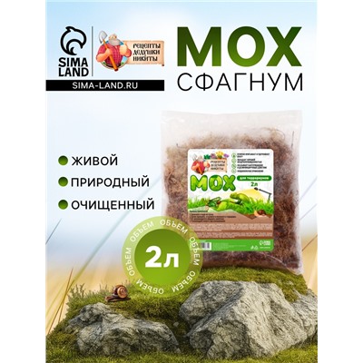 Мох сфагнум для террариумов «Рецепты дедушки Никиты» 2 л