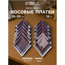 Платки носовые мужские «Этель. Серджио», 30×30 см, 12 шт., рисунок МИКС, фиолетовые