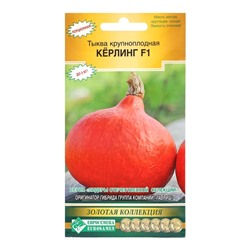 Семена Тыква "Кёрлинг", F1, 3 шт