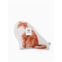Подушка декоративная «Этель» Ginger cat, 40×33 см, велюр