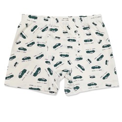 3586 Боксеры для мальчиков многоцвет (BAYKAR)