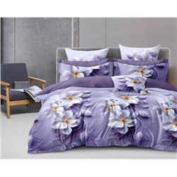 Постельное белье из поплина cтандарт П-3250