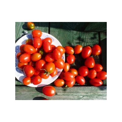 Помидоры — Brin De Muguet — Ландыш (10 семян)