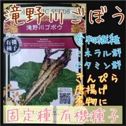Сортовой Корнеплодный Японский Лопух Такиногава Гобо — 滝野川ゴボ (30 семян)