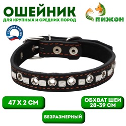 Ошейник кожаный на синтепоне украшенный, безразмерный, 47×2 см, ОШ 28-39 см, чёрный